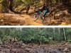 ‘Greenwashing’ or win for bike trails? Timber plan stokes division
