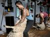 Government hoping migration revamp will help ag’s worker woes
