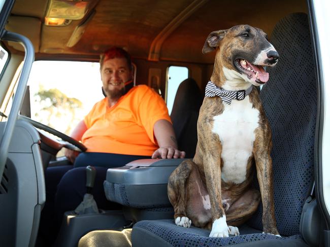 Truck driver Craig Connor asked Blacktown’s existing shelter to find him a long-term unwanted dog — and named him Knucklehead. Pictures: Sam Ruttyn