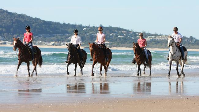 Beach horse riding company Equathon, at Noosa, stands to lose 15 per cent of its school holiday bookings if borders stay shut to Melbourne.