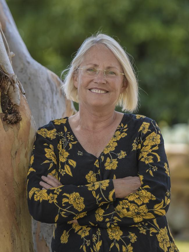 Former Labor MP Annabel Digance. Picture: Roy VanDerVegt