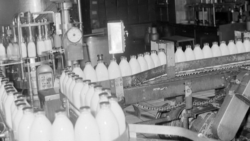 Milk bottling hall at South Coast Co-operative Dairy Association Ltd, Scarborough Street, Southport, in 1972. Picture: Bob Avery/Gold Coast Libraries Local Studies Collection.