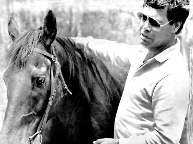 The racehorse Fine Cotton with trainer Hayden Haitana in 1985.