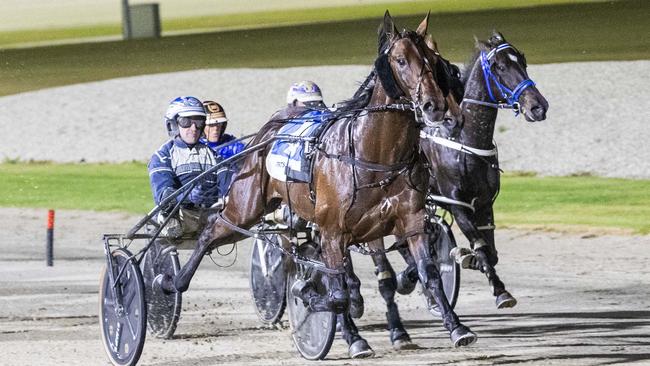 Perfect Class was one of Emma Stewart’s eight winners at Kilmore on Thursday night. Picture: Stuart McCormick