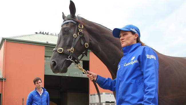 Godolphin Australia’s head trainer James Cummings looks on as Godolphin stayer Avilius is paraded for the media. Picture: Getty Images