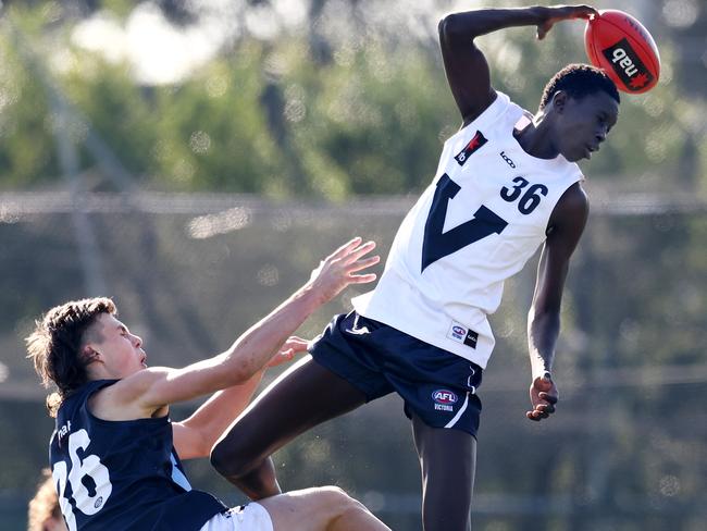 The Giants are sizing up high-leaping Mac Andrew. Picture: Michael Klein