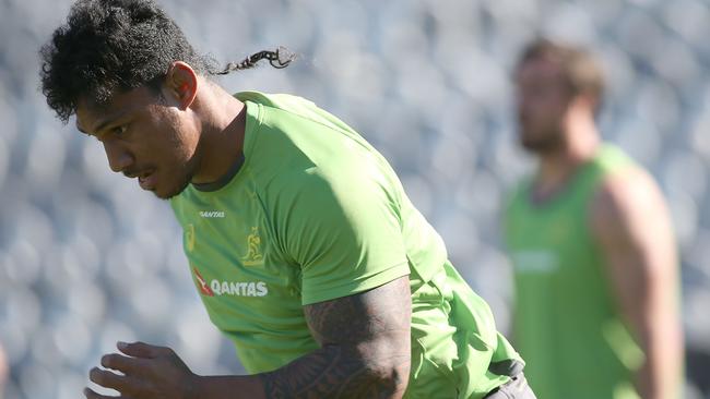 GOSFORD, AUSTRALIA - AUGUST 12: Lopeti Timani of the Wallabies during an Australian Wallabies training session at Central Coast Stadium on August 12, 2016 in Gosford, Australia. (Photo by Tony Feder/Getty Images)