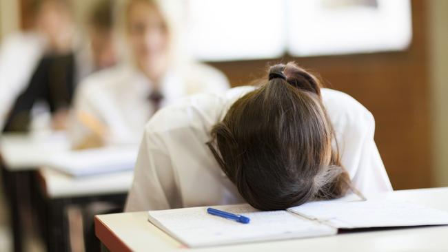 Ivanhoe Girls’ Grammar hops to teach students resilience. Picture: Thinkstock