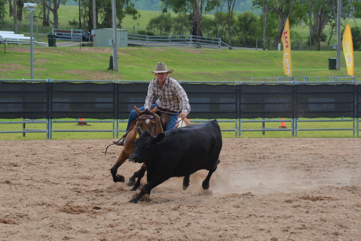 Damien Curr riding in the Cooyar Campdraft at the 71st annual Cooyar Show. Picture: Kate McCormack