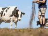 $15.9m in drought support for Victorian farmers