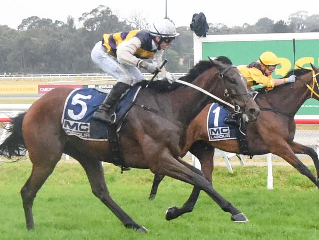 Andy Win (outside) flashes home but just fails to overhaul Everything Counts at Kilmore last month. Picture: Brett Holburt / Racing Photos