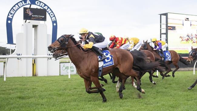 All Machiavellian, pictured winning at Kembla Grange in June, is one of Shayne O'Cass' best bets of the day on Monday. Picture: Bradley Photos