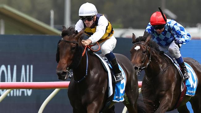 SYDNEY, AUSTRALIA - JANUARY 18: Tyler Schiller riding Perfumist win Race 6 Racing And Sports during Sydney Racing at Rosehill Gardens Racecourse on January 18, 2025 in Sydney, Australia. (Photo by Jeremy Ng/Getty Images)