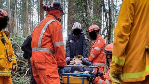 Emergency crews rescuing a walker from Sherbrooke Forest.