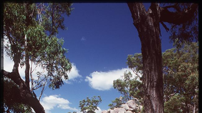 Crows Nest National Park Koonin Lookout - travel qld rock face scenic tourism