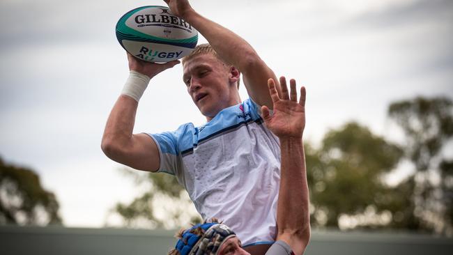 NSW Waratahs White v Queensland Reds Grey. Picture Tom Primmer/QRU.