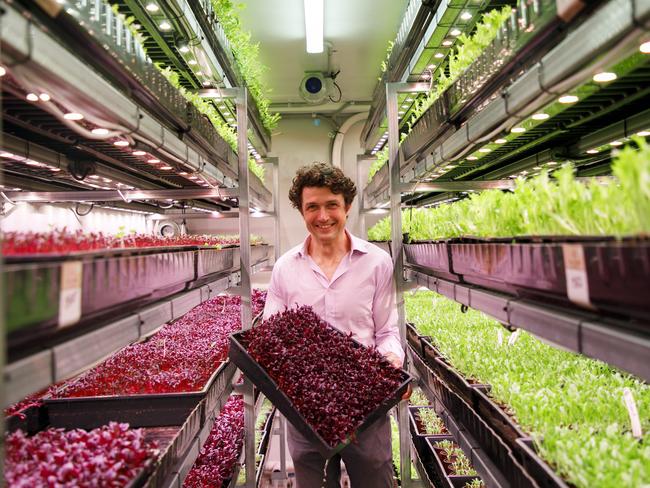 MANLY DAILY/ AAP Photo of Hugh McGilligan in his fully controlled vertical garden in a warehouse in Brookvale on Thursday the 23rd January 2020.Forward-thinking entrepreneur Hugh McGilligan runs a vertical futureistic "indoor farm" business called SPROUT STACK that grow vegetables and herbs for the gourmet and restaurant trade fom a warehouse in Brookvale.Photo: Tim Pascoe