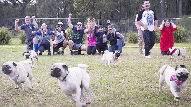 Pugs took part in races on the day.