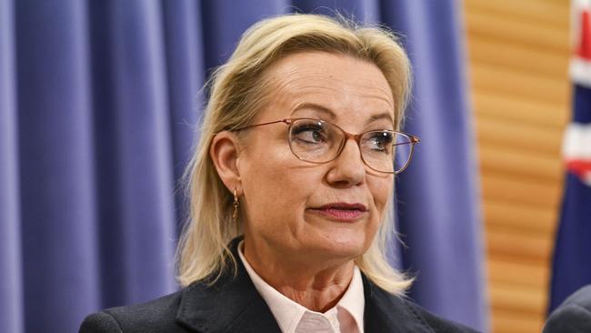 Sussan Ley on Tuesday. Picture: Martin Ollman/NewsWire