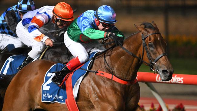 Dean Yendall rides Scales of Justice to victory in the Australia Stakes. Picture: AAP/Vince Caligiuri