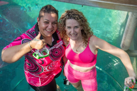 Breast or beast: Croc swim for Breast Cancer Awareness month