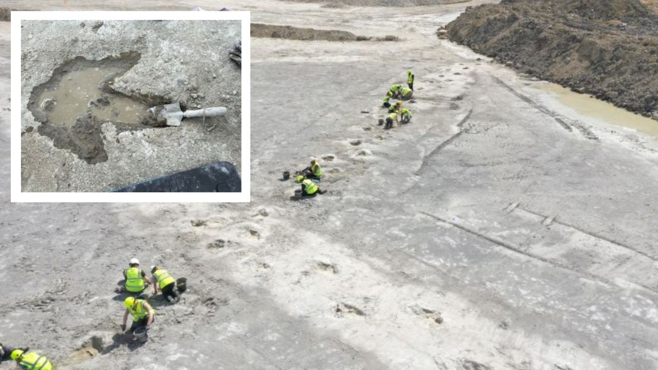 Worker unearths dino footprint ‘highway’