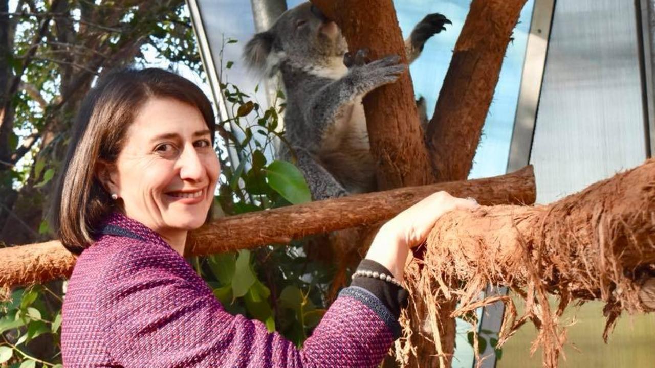 Gladys Berejiklian has emerged victorious after Deputy Premier John Barilaro threatened to take his party to the crossbench over amendments to legislation that would help protect koalas. Picture: Instagram