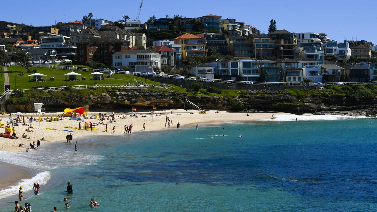 The dolphin was caught in nets off the coast of Bronte Beach. NSW Picture: NCA NewsWire / Monique Harmer