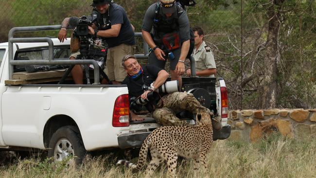 Close call ... Celeb photographer Nigel Wright looked like he was about to become this cheetah’s next meal. Picture: Robert Irwin