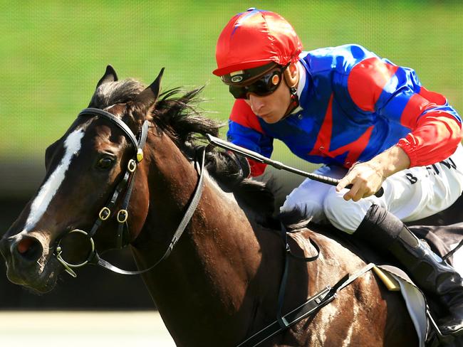 Dark Steel wins at a Canterbury midweek meeting last spring. Picture: Mark Evans