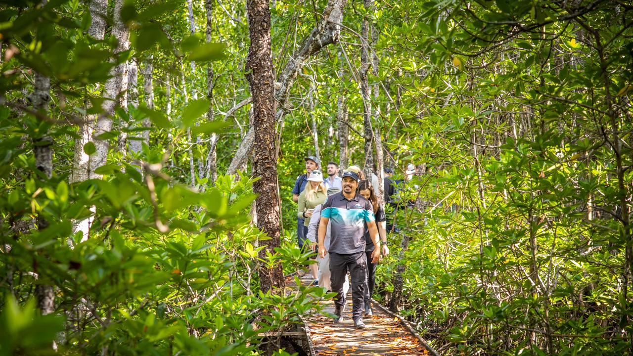 In June 2022 Dawul Wuru project manager Gavin Singleton lead Carbon Market Institute investor summit attendees along Cairns Airport mangrove boardwalk. Picture: Rob Parsons.