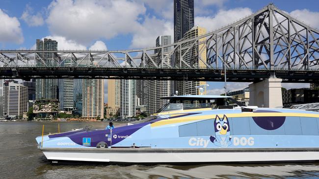 The CityDog ferry on the Brisbane River.