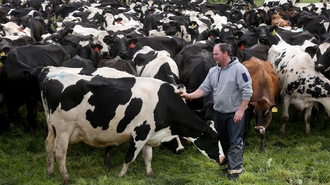 Rains add to Murray Goulburn dairy co-op’s woes | The Australian