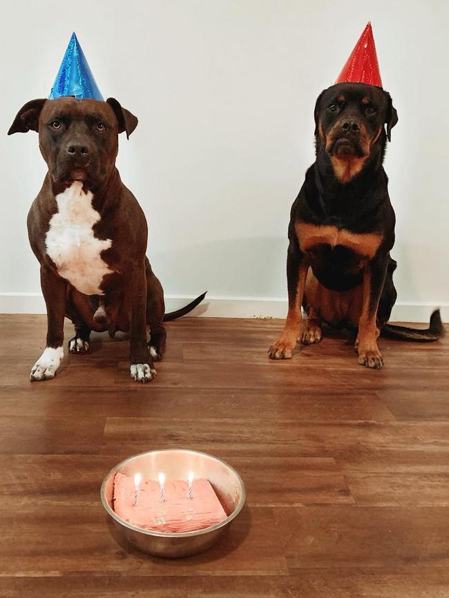 Arrow posted a picture of his dog Thor (left) to celebrate the pet’s birthday. Picture: Instagram.