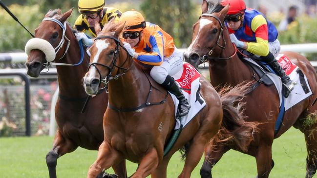 Sans Doute will have her final start for the spring in the Group 3 How Now Stakes at Caulfield. Picture: Racing Photos via Getty Images