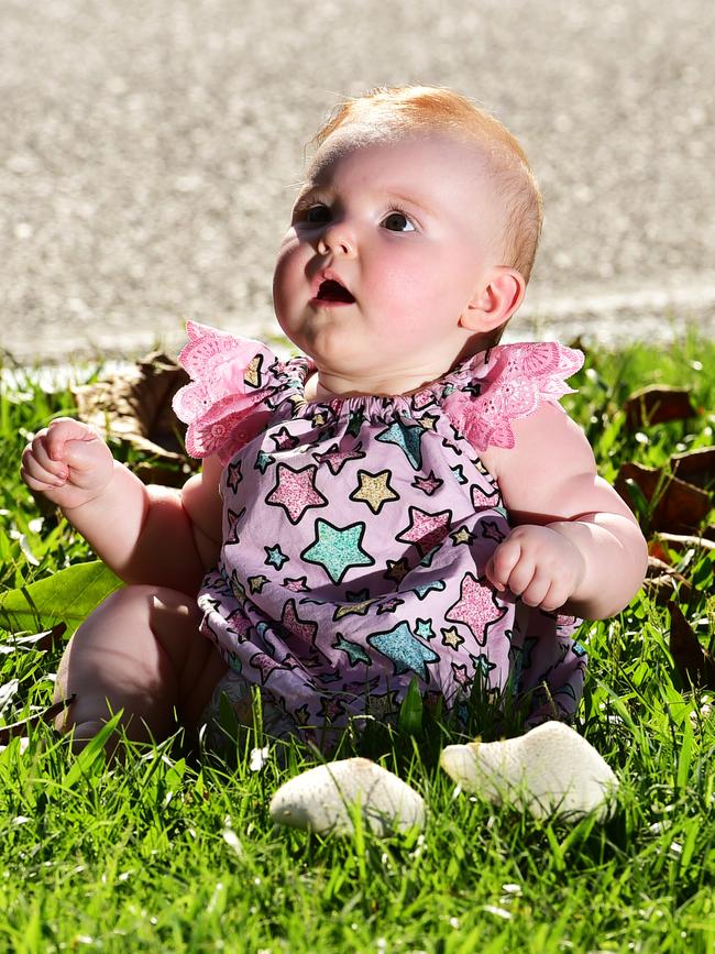 Five-month-old Astrid Cali plays with some edible Macrolepiota dolichaula mushrooms.