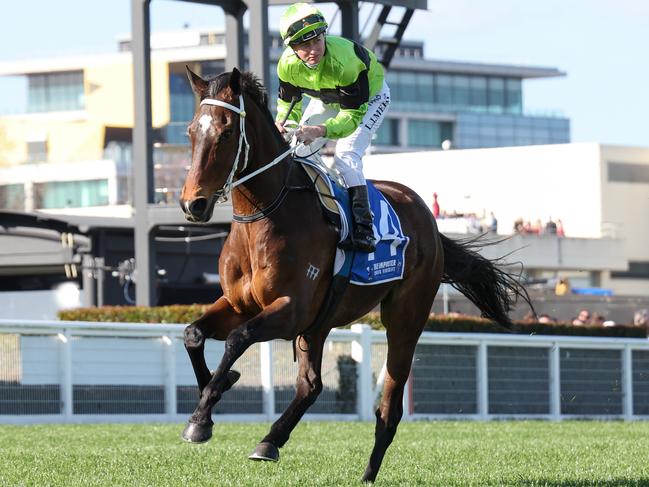 Hasta La War and jockey Linda Meech will again combine in Wednesday's $500,000 Bendigo Cup. Picture : Racing Photos via Getty Images.