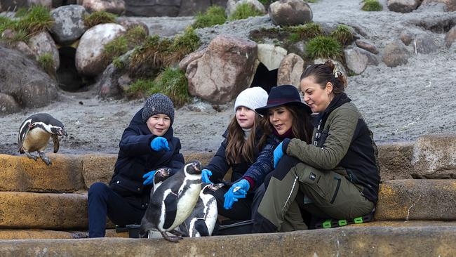 FREDERIKSBERG, DENMARK - FEBRUARY 02: Crown Princess Mary of Denmark, Prince Vincent and Princess Josephine feed penguins before cutting the first sod for what will be Mary's Australian Garden at Copenhagen Zoo on February 2, 2022 in Frederiksberg, Denmark. On Saturday, 5 February 2022, HRH The Crown Princess turns 50 years old. The Crown Princess's 50th birthday will be celebrated with a number of events in the beginning of February. (Photo by Ole Jensen/Getty Images)