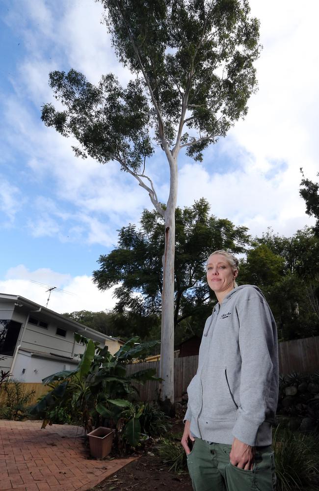 Tabitha Pendlebury has had her giant tree trimmed. The arborist’s report determined the tree should be retained and maintained by an arborist every 18-months. Picture: AAP Image/Richard Gosling