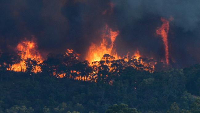 The fire has forced many evacuations in the Adelaide Hills. Picture: Brenton Edwards