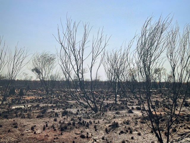 The aftermath of the bushfire south of Tennant Creek in Central Australia, October 2024. Picture: David Curtis Snr