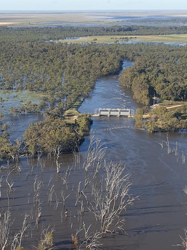 The plains were completely saturated. Picture: Riverina Helicopters