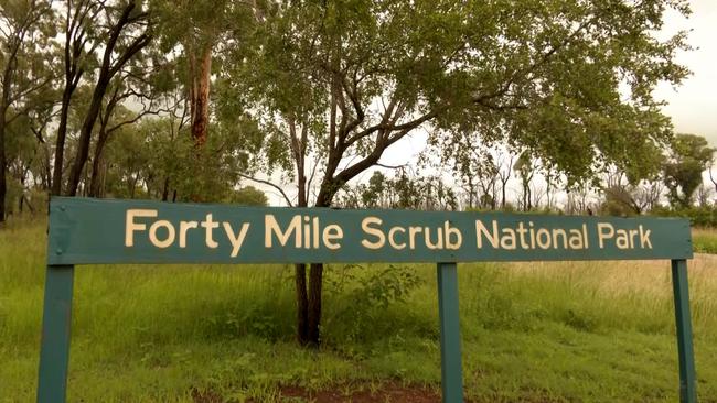 Forty Mile Scrub National Park, about 220 kilometres by road southwest of Cairns.