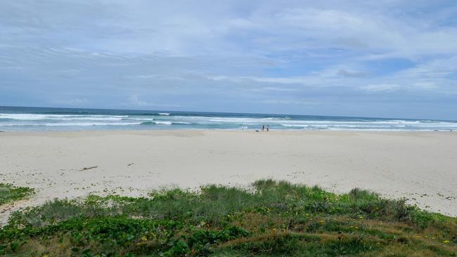 The infected prawns were found near Evans Head. Picture: Cath Piltz