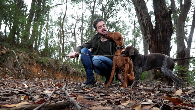 File picture of chef Jock Zonfrillo with his dogs Norrie and Aggie on his property in the Adelaide Hills. Picture: Kelly Barnes/The Australian.