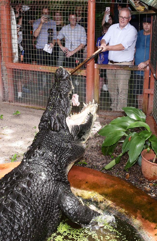 Prime Minister Scott Morrison feeds chicken to Cassius, the largest saltwater crocodile in captivity at 5 metres long. Cassius is the star attraction at Marineland Crocodile Park on Green Island, off the coast of Cairns. Picture: Brendan Radke