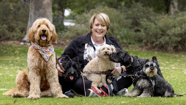 Christine Robertson OAM, founder of Lost Pets of SA and Chip Blitz, is a finalist for a Woman of the Year award. Picture: Kelly Barnes