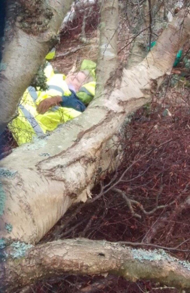 Without warning a 15-metre tree came crashing down, sending Ken "flying" and trapping Caroline. Picture: Supplied