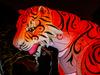 Light relief: Illuminated creatures return to Adelaide Zoo