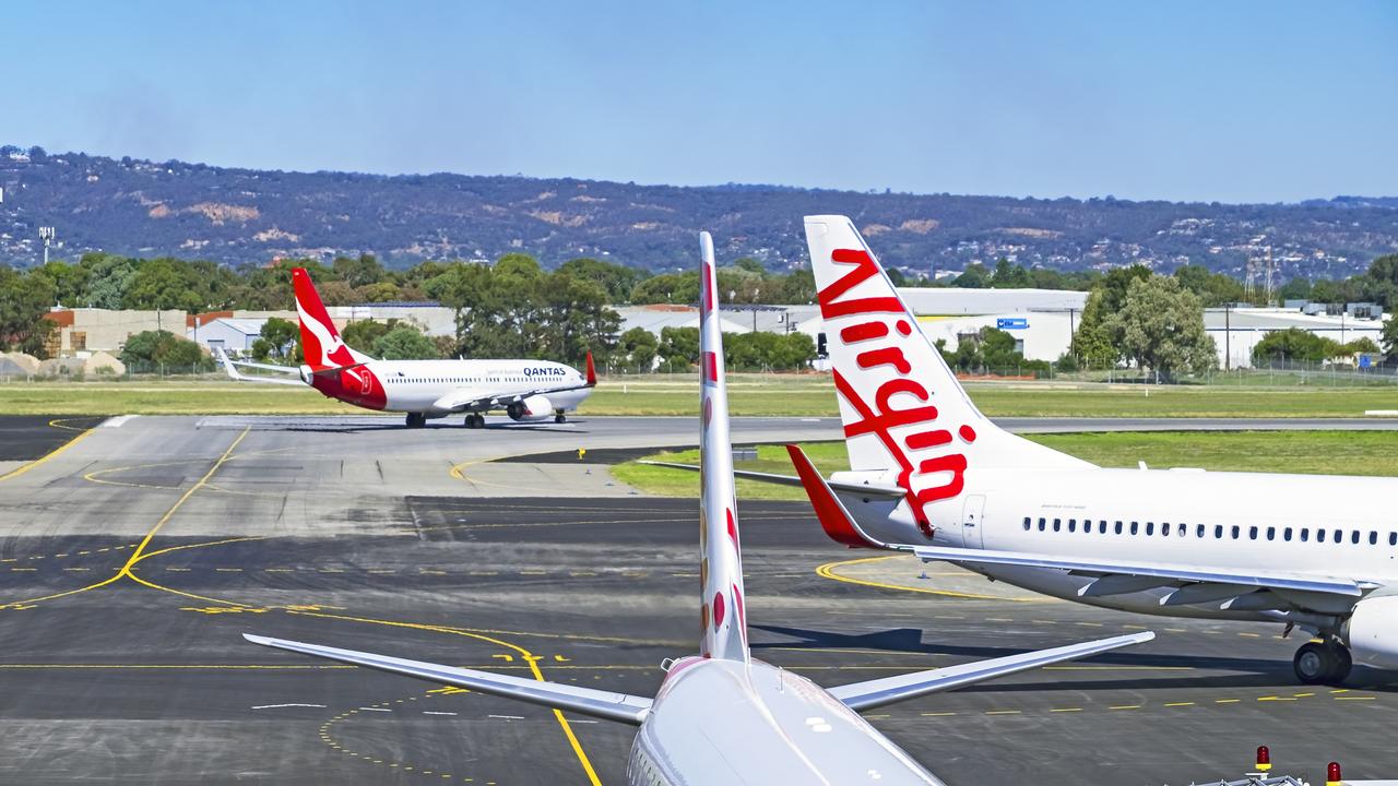 Airlines don’t know if an assistance animal is accredited. Photo: iStock